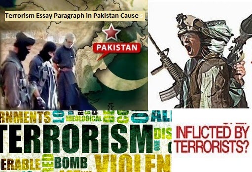 English essays on terrorism in pakistan